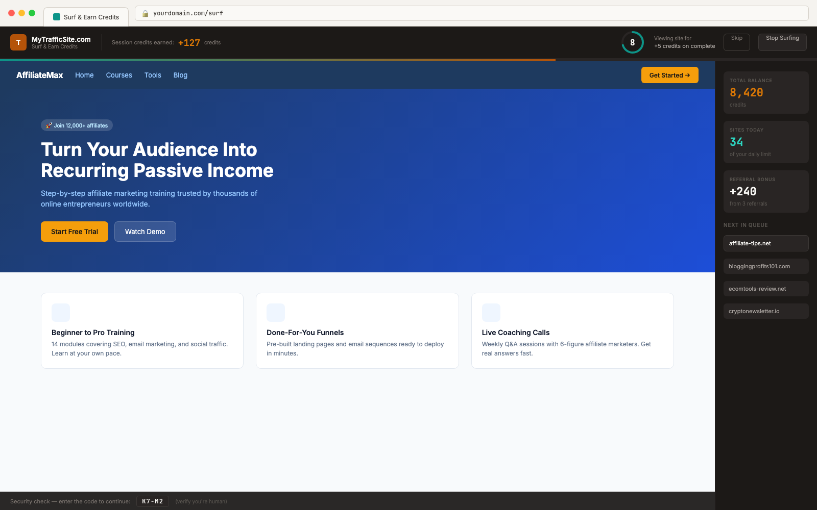 Traffic Exchange Script surf area member view with countdown timer